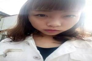 数码暴龙下载