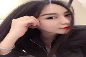 口袋妖怪内置